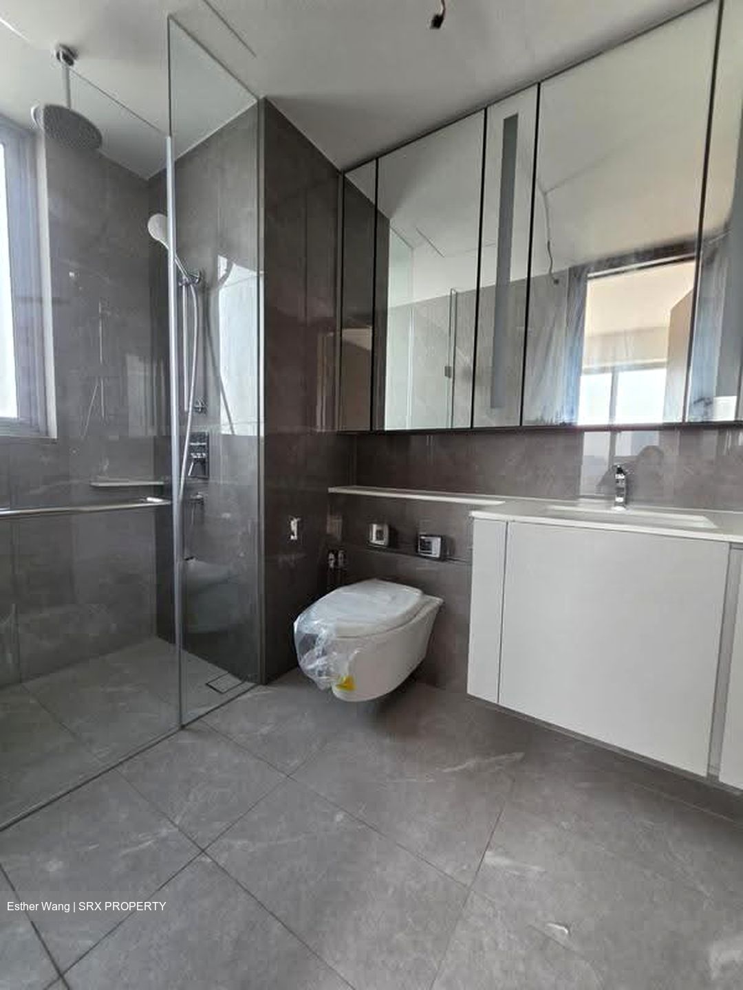 Dunman Road (D15), Condominium #610842461